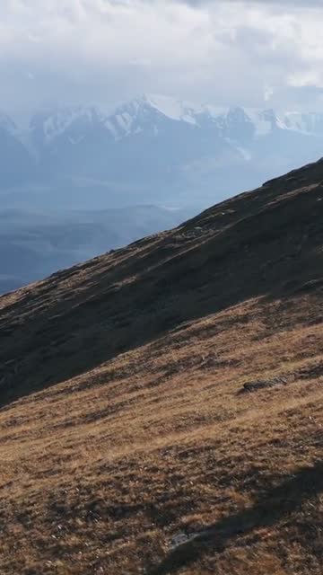 The ridge in the selected look